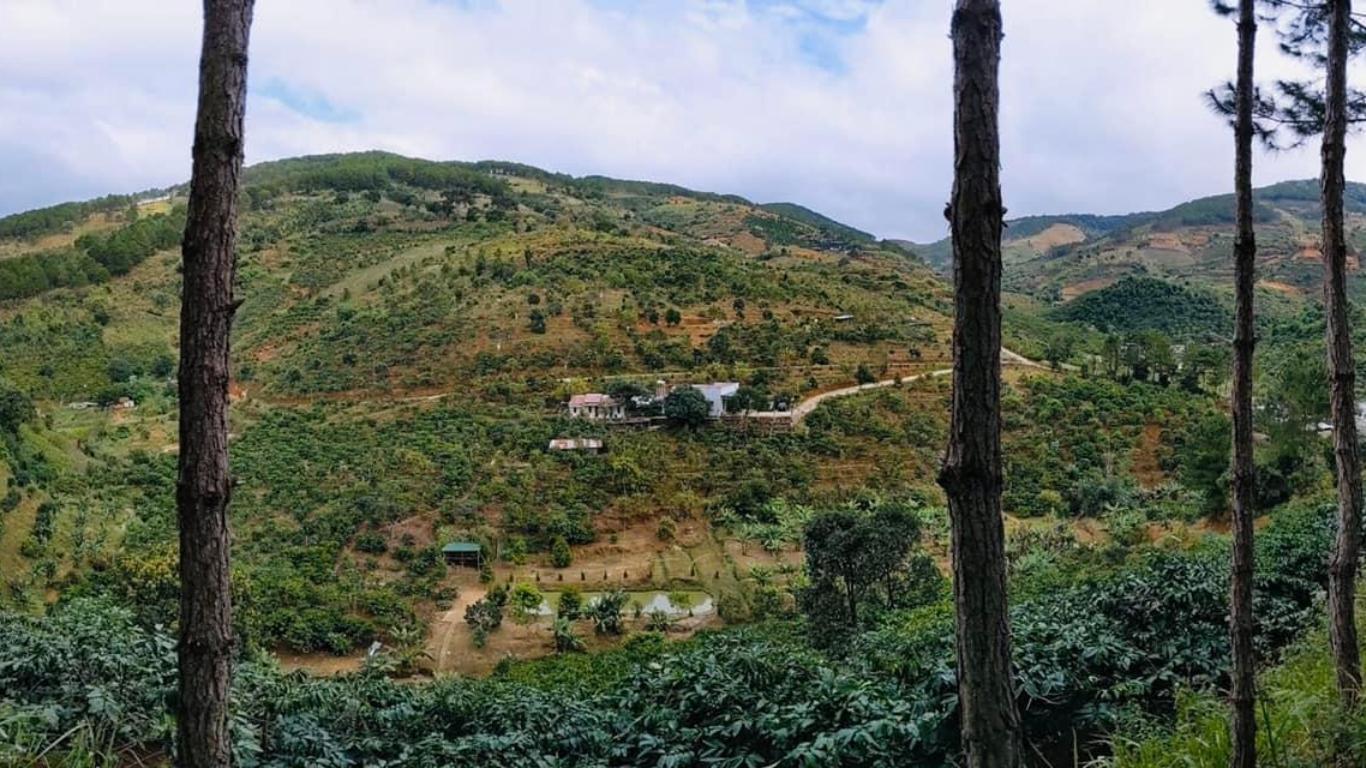 Khung cảnh OVI Coffee Farmstay