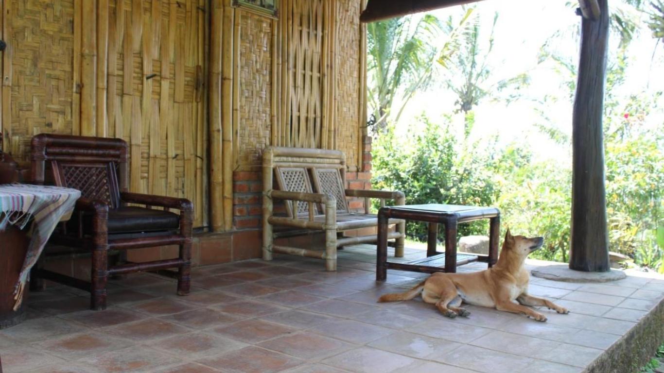 Lịch sử phát triển Farmstay