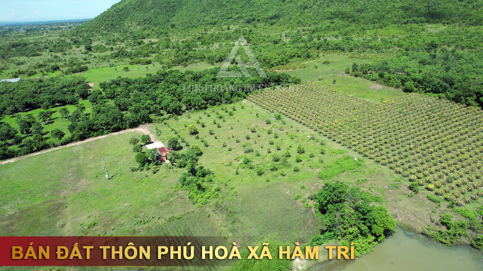 Ban dat Thon Phu Hoa xa Ham Tri