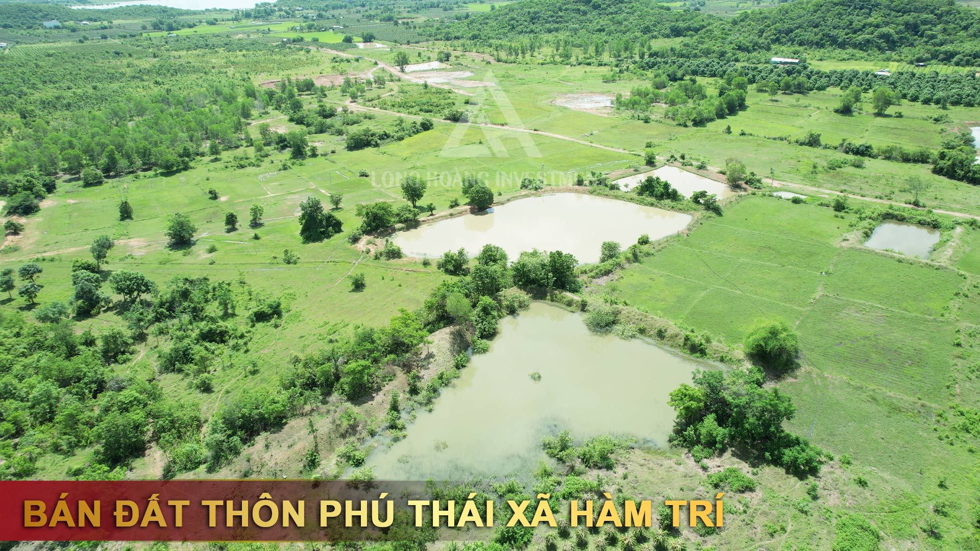 Bán đất Thôn Phú Thái xã Hàm Trí
