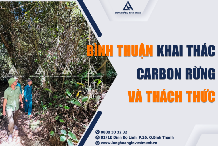 Bình Thuận tiềm năng khai thác carbon rừng và những thách thức