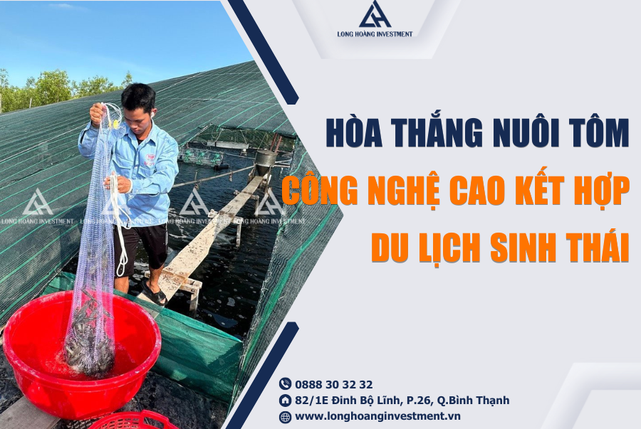 Hòa Thắng: Nuôi Tôm Công Nghệ Cao Kết Hợp Du Lịch Sinh Thái - Con Đường Phát Triển Mới