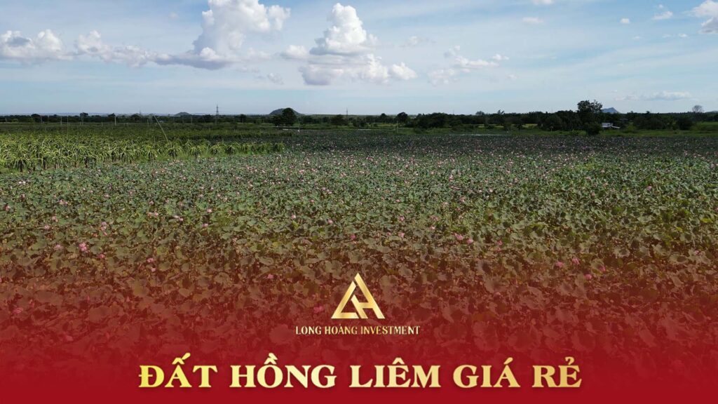 Giá mua bán nhà đất tại xã Hồng Liêm huyện Hàm Thuận Bắc giá rẻ