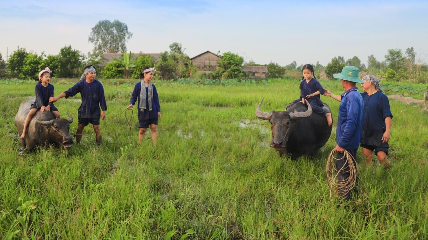 Hoạt động tại Việt Mekong Farmstay