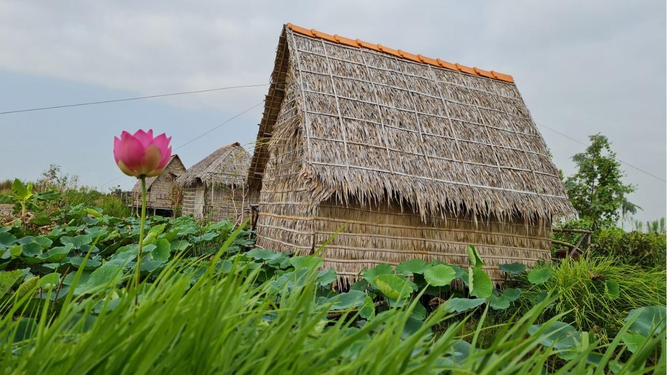 Nhà tại Việt Mekong Farmstay